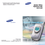 Samsung SGH-S100 manual de utilizador