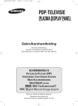 Samsung PS-42D51S User Manual