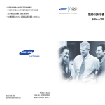 Samsung SGH-A308SA 用戶手冊