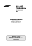 Samsung CS-29A200 User Manual