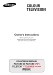 Samsung WS32Z108R User Manual