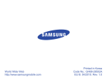 Samsung WEP570 черно-серебряный гарнитура Инструкция по использованию