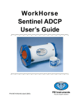 WorkHorse Sentinel User's Guide