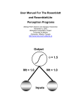 User Manual For The Rosenblatt - Biological Computation Project