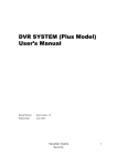 DVR SYSTEM (Plus Model) User's Manual