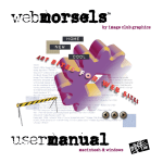WebMorsels&trade; User Manual