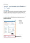 Nobicon Business Intelligence Service – User Guide