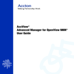 AccView® Advanced Manager for OpenView NNM® User Guide