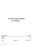 EX-91151 Display Monitor User Manual