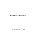 Wireless LAN USB Adapter User Manual V1.3
