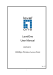 LevelOne User Manual