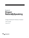 Dragon Bluetooth Wireless Headset User Guide
