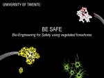 BE SAFE project