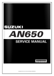 Copyright for this service manual only ©2011 LIFRASCHAL