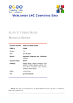 GLITE 3.1 USER GUIDE