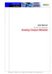 User Manual Analog Output