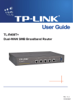 TL-R480T+ User Guide - Data