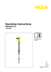 Operating Instructions - VEGACAP 67 - - two-wire