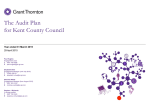 The Audit Plan – template user guide - Committees