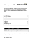 Business Objects User Guide