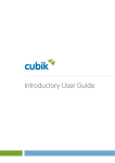 Cubik Introductory User Guide