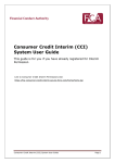 Consumer Credit Interim (CCI) System User Guide