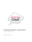 MicroStrategy Cloud Enterprise – User Guide Version 1.1