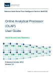 NASCIS OLAP User Guide 2014