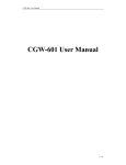 CGW-601 User Manual
