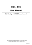 H.264 DVR User Manual