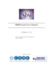 SBSIVisual User Manual