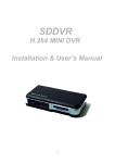 H.264 MINI DVR Installation & User's Manual
