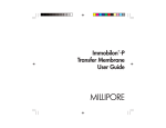 Immobilon&reg;-P Transfer Membrane User Guide