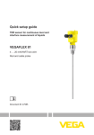 Operating Instructions - VEGAFLEX 81 - 4 &hellip; 20 mA/HART two