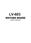 LV-603 User's Manual