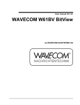User manual V2.1.01 WAVECOM W61BV BitView