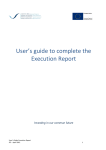 User's guide to complete the Execution Report