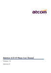 Rainbow 2LW IP Phone User Manual