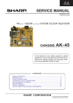 AK45 CHASSIS SERVICE MANUAL 00 VERSION - Page de test