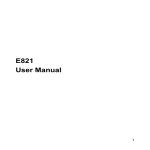 E821 User Manual