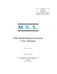 GSI Multi-Branch System User Manual