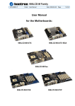 User Manual for the Motherboards:
