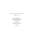 The MorphMoulder User's Manual MoMo v. 2.0 - MiLCA