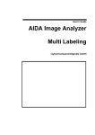 AIDA Image Analyzer Multi Labeling User's Guide