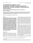 Troubleshooting coupled in vitro transcription&ndash;translation system