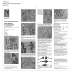 none 7407104 Instructions / Assembly