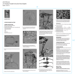 none 7407129.0 Instructions / Assembly
