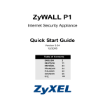 ZyXEL ZyWALL P1 User's Manual