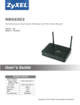 ZyXEL NBG6503 User's Manual