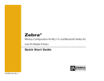 Zebra zebra P1048352-001 User's Manual